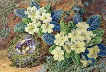 Primroses and a Bird